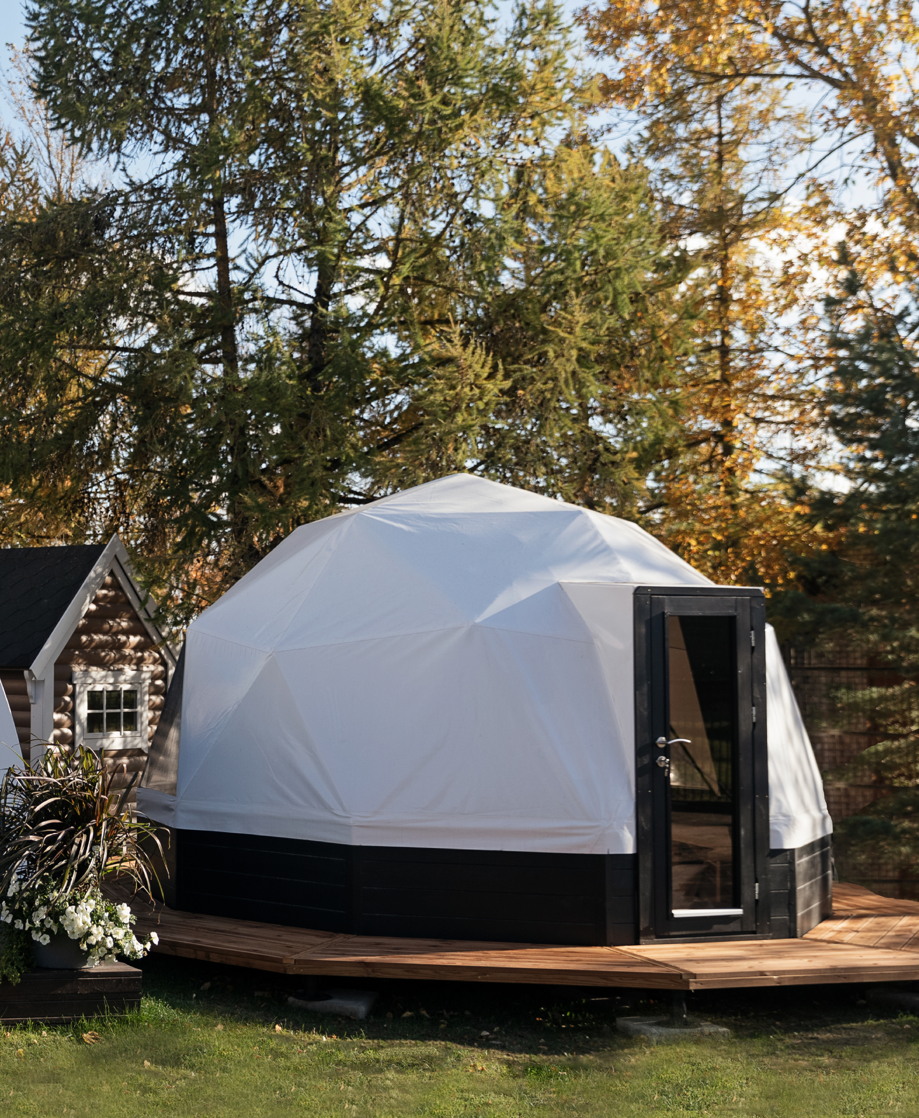 Geodesic DOME