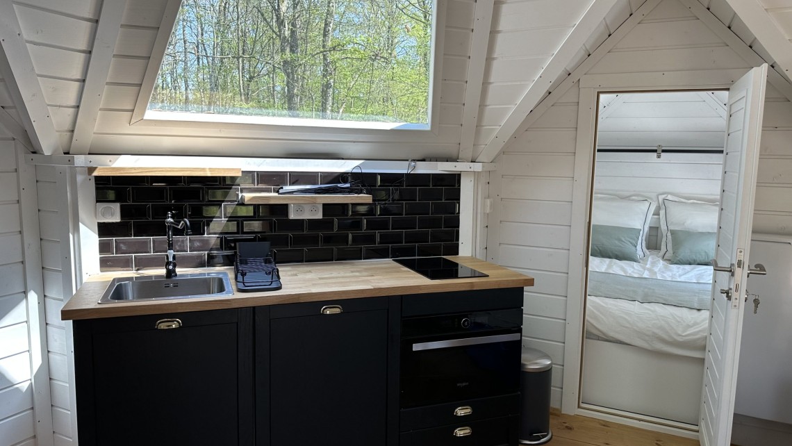 Cabin interior-kitchen