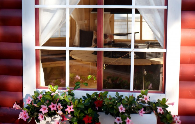 Not opening window in pavilion 14.9